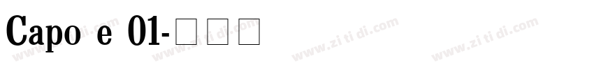 Capitolium News W01字体转换